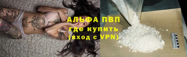 спайс Магас