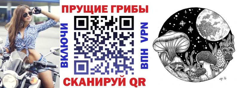 shop формула  Каменск-Уральский  Галлюциногенные грибы ЛСД 
