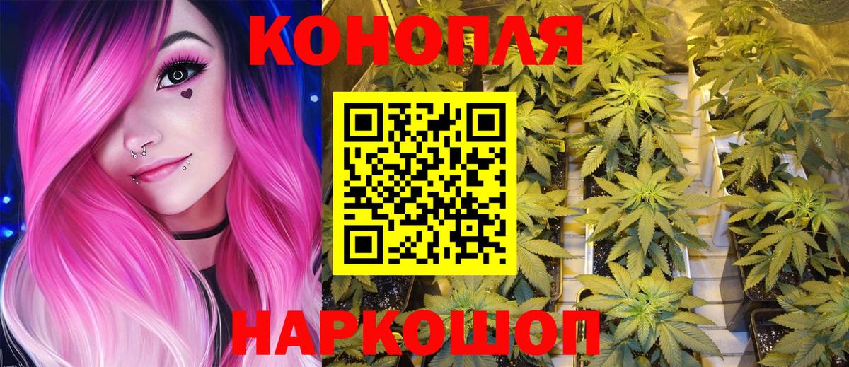 Каменск-Уральский  Конопля план  Бошки Шишки Amnesia  Вход с VPN  МАРИХУАНА индика 